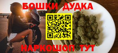 jwh Бийск