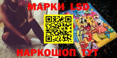 jwh Бийск