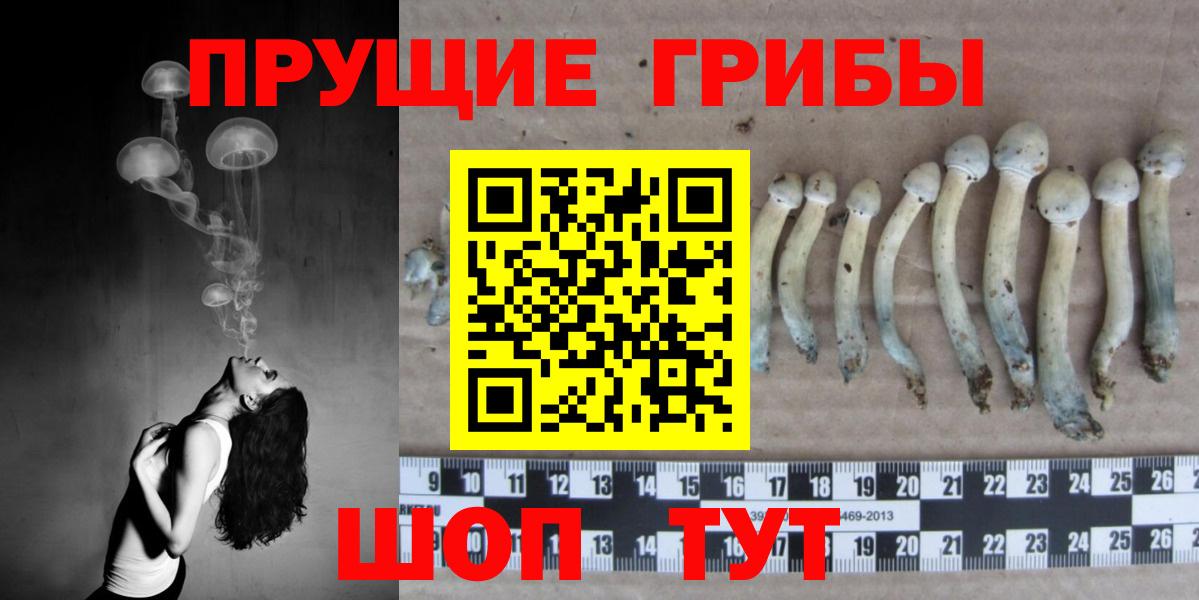Псилоцибиновые грибы Cubensis Изобильный